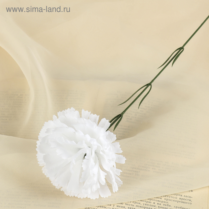 цветы искусственные гвоздика 37 см белый
цветы искусственные гвоздика 37 см белый