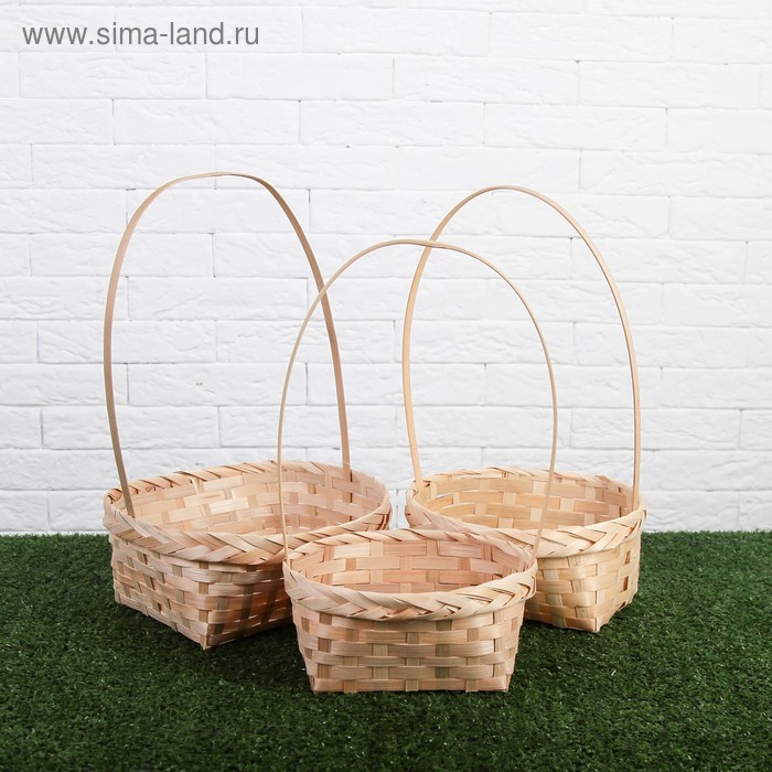 Набор корзин плетеных, натуральный цвет, бамбук, 3 шт
Набор корзин плетеных, натуральный цвет, бамбук, 3 шт