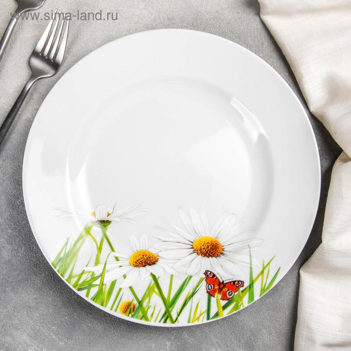 Тарелка мелкая «Ромашка», d=24 см
Тарелка мелкая «Ромашка», d=24 см