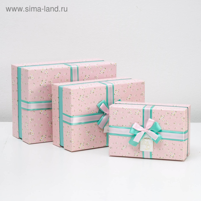 Набор коробок 3 в 1 "Цветочная поляна", розовый, 28,5 х 21,5 х 12,5 - 20,5 х 13,5 х 10 см
Набор коробок 3 в 1 "Цветочная поляна", розовый, 28,5 х 21,5 х 12,5 - 20,5 х 13,5 х 10 см