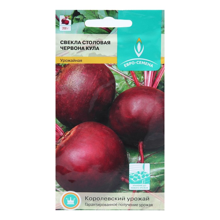 Семена Свекла Червона кула, 2 гр
Семена Свекла Червона кула, 2 гр