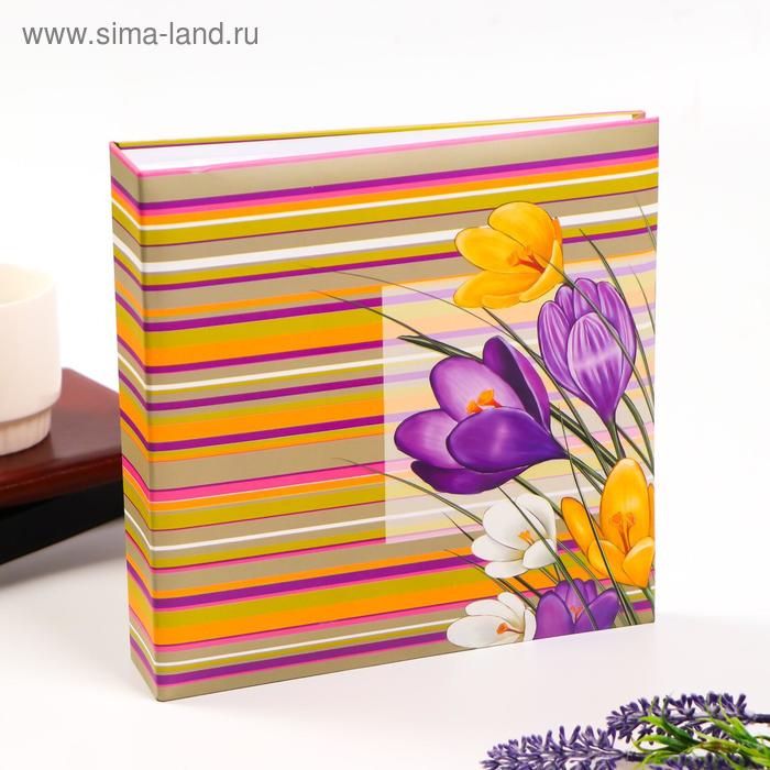 Фотоальбом на 200 фото 10х15 см "Луговые цветы" (бум.листы) 22,5х23х5 см
Фотоальбом на 200 фото 10х15 см "Луговые цветы" (бум.листы) 22,5х23х5 см