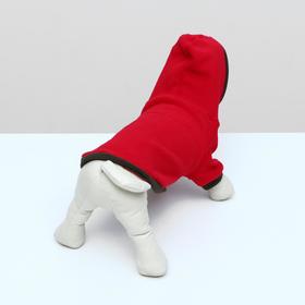 Кофточка из флиса с капюшоном и полосками на рукавах, М (дс-24 см, ош-28 см, ог-36 см), микс
Кофточка из флиса с капюшоном и полосками на рукавах, М (дс-24 см, ош-28 см, ог-36 см), микс
