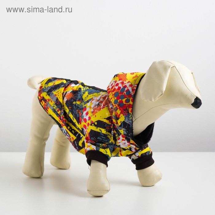 Куртка с капюшоном на меховом подкладе, L (ДС 28-30 см, ОШ 32 см, ОГ 36-40 см) микс
Куртка с капюшоном на меховом подкладе, L (ДС 28-30 см, ОШ 32 см, ОГ 36-40 см) микс