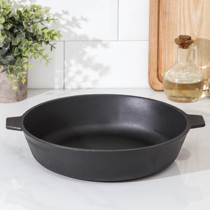 Сковорода, d=26 см, с двумя ушками, цвет чёрный
Сковорода, d=26 см, с двумя ушками, цвет чёрный
