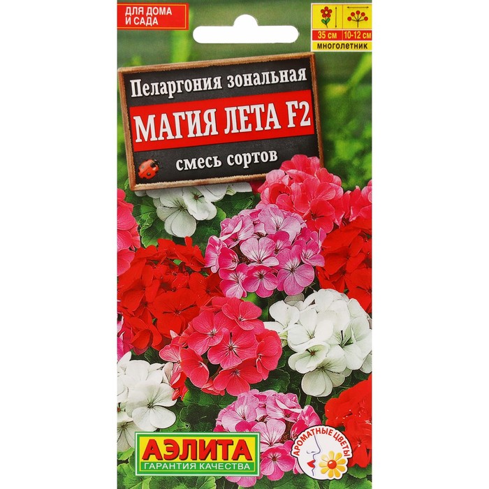 Семена цветов Пеларгония "Магия лета", F2, смесь окрасок, 5 шт
Семена цветов Пеларгония "Магия лета", F2, смесь окрасок, 5 шт