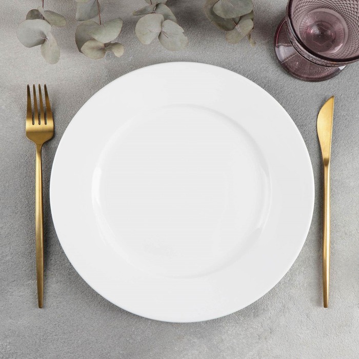Тарелка обеденная Stella «Классика», d=25,5 см, цвет белый
Тарелка обеденная Stella «Классика», d=25,5 см, цвет белый