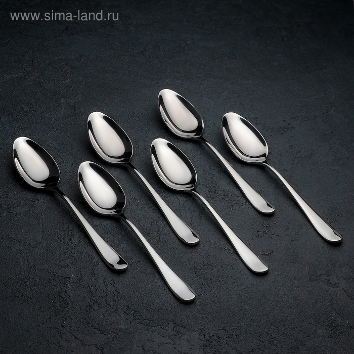 Набор столовых ложек Stella, h=21 см, 6 шт, цвет серебряный
Набор столовых ложек Stella, h=21 см, 6 шт, цвет серебряный