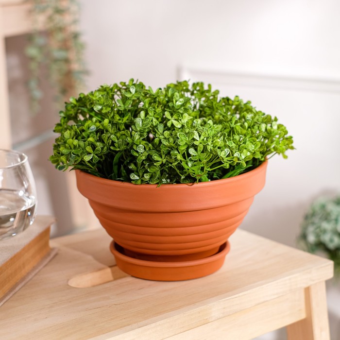 Горшок для цветов "Рельеф", пиала, красная глина, 1 л
Горшок для цветов "Рельеф", пиала, красная глина, 1 л