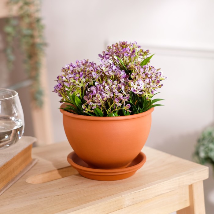 Горшок для цветов "Фиалка", красная глина, 0.5 л
Горшок для цветов "Фиалка", красная глина, 0.5 л