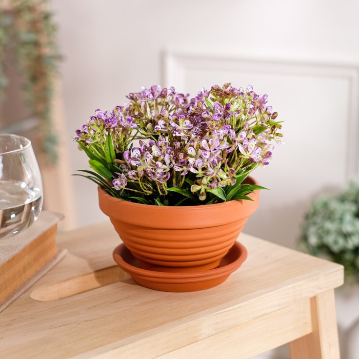 Горшок для цветов "Рельеф", пиала, красная глина, 0.5 л
Горшок для цветов "Рельеф", пиала, красная глина, 0.5 л