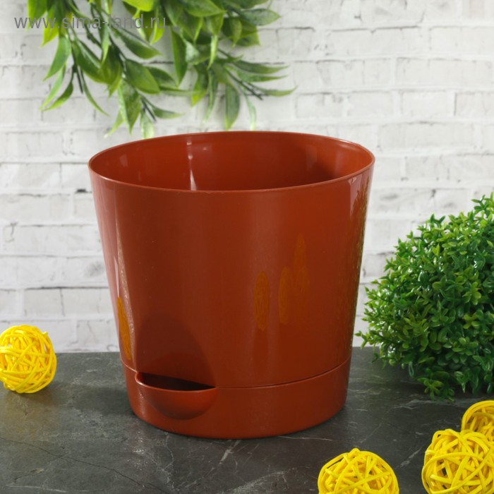 Кашпо с прикорневым поливом «Ника», 800 мл, цвет терракотовый
Кашпо с прикорневым поливом «Ника», 800 мл, цвет терракотовый
