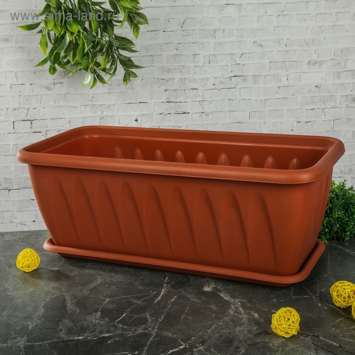 Ящик балконный «Алиция», 40 см, с поддоном, цвет терракотовый
Ящик балконный «Алиция», 40 см, с поддоном, цвет терракотовый