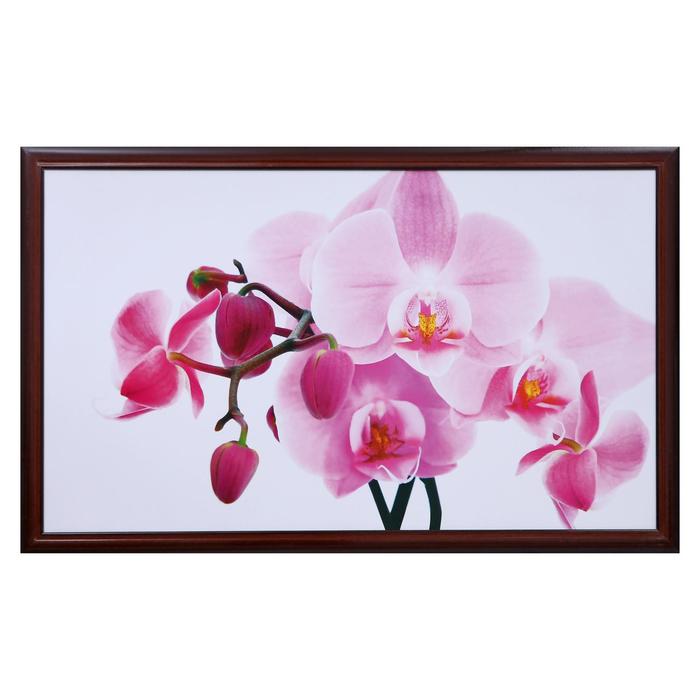 Картина "Орхидея" 67х107 см рамка микс
Картина "Орхидея" 67х107 см рамка микс