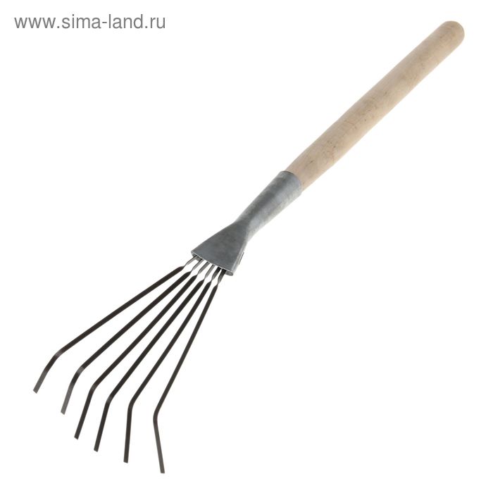 Грабли веерные, пластинчатые, 6 зубцов, оцинкованные, с деревянной ручкой 
Грабли веерные, пластинчатые, 6 зубцов, оцинкованные, с деревянной ручкой