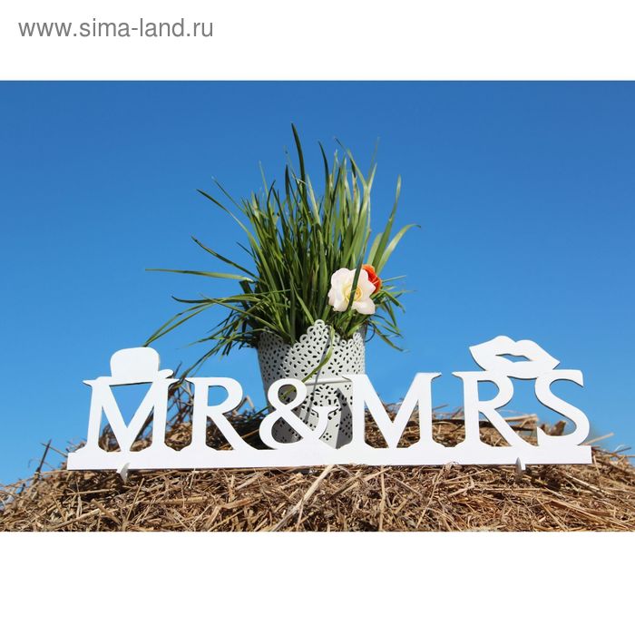 Деревянная заготовка "Mr Ms" 10х39,5х0,3 см
Деревянная заготовка "Mr Ms" 10х39,5х0,3 см