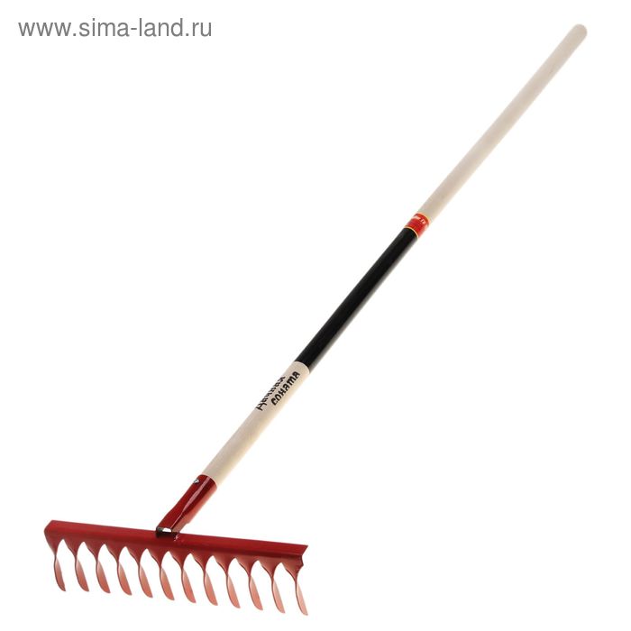 Грабли прямые, повёрнутый зуб, 12 зубцов, металлические, деревянный черенок
Грабли прямые, повёрнутый зуб, 12 зубцов, металлические, деревянный черенок