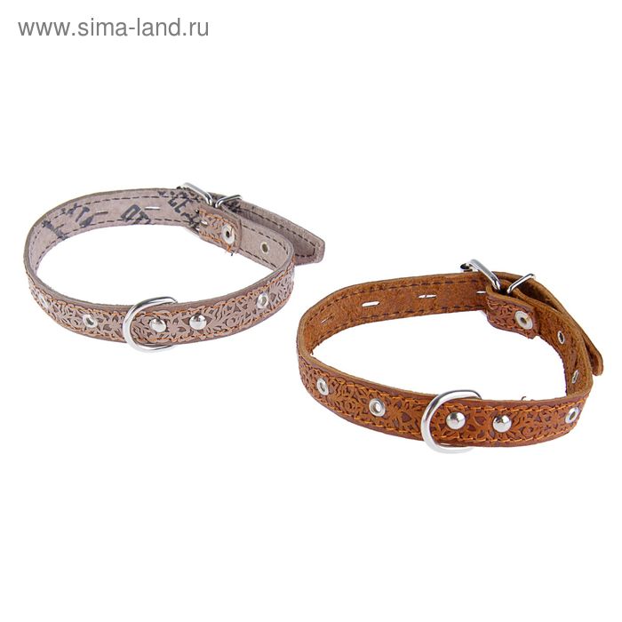Ошейник кожаный однослойный безразмерный, 2 х 48 см микс цветов
Ошейник кожаный однослойный безразмерный, 2 х 48 см микс цветов