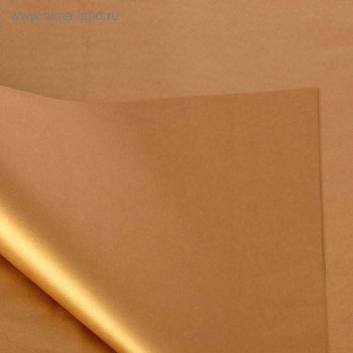 Бумага тишью "Бронза, металл", 50 х 75 см, 24 шт.
Бумага тишью "Бронза, металл", 50 х 75 см, 24 шт.