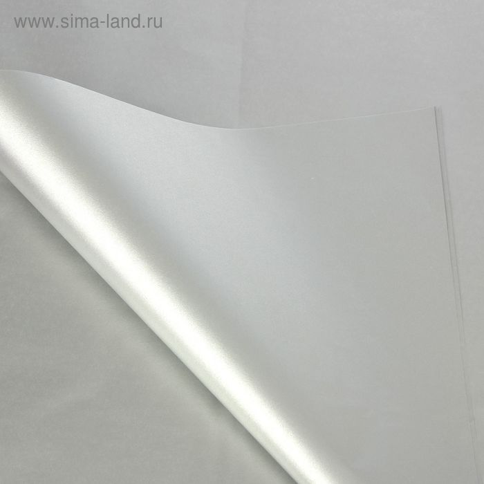 Бумага тишью "Серебристый металл", 50 х 76 см, 24 шт.
Бумага тишью "Серебристый металл", 50 х 76 см, 24 шт.