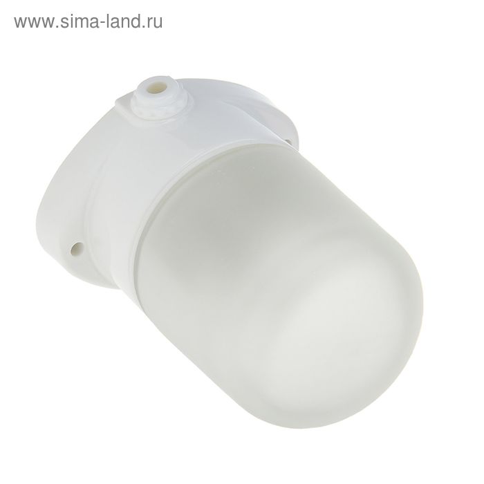 Светильник TDM НПБ400, Е27, 60 Вт, IP54, до +125°, настенно-потолочный, для сауны
Светильник TDM НПБ400, Е27, 60 Вт, IP54, до +125°, настенно-потолочный, для сауны