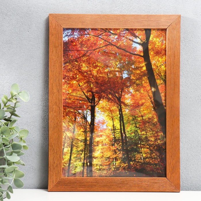 Фоторамка 21х30 (5N92) орех (пластиковый экран)
Фоторамка 21х30 (5N92) орех (пластиковый экран)