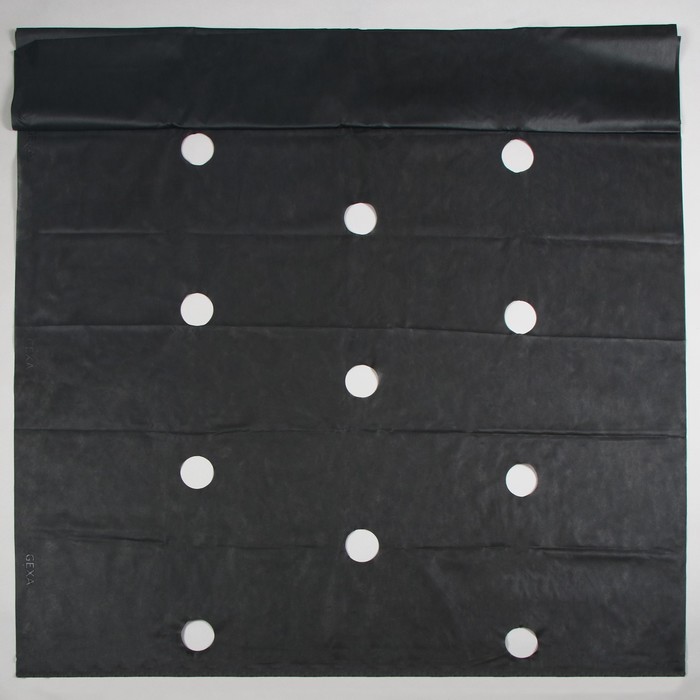 Материал мульчирующий, с перфорацией, 5 × 1,6 м, плотность 60, с УФ-стабилизатором, чёрный, «Агротекс»
Материал мульчирующий, с перфорацией, 5 × 1,6 м, плотность 60, с УФ-стабилизатором, чёрный, «Агротекс»