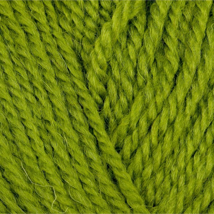 Пряжа "Подмосковная" 50% шерсть, 50% акрил 250м/100гр (1550, аспарагус)
Пряжа "Подмосковная" 50% шерсть, 50% акрил 250м/100гр (1550, аспарагус)