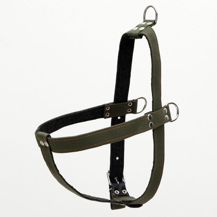 Шлейка брезентовая на фетре регулируемая многоразмерная, 3,5 см, ОШ 100, ОГ 62-100, т.зелёная 135999
Шлейка брезентовая на фетре регулируемая многоразмерная, 3,5 см, ОШ 100, ОГ 62-100, т.зелёная 135999