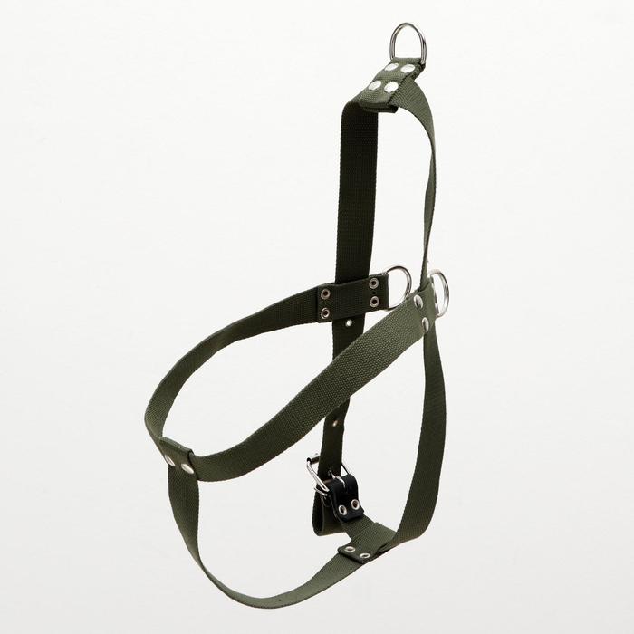 Шлейка брезентовая однослойная многоразмерная, 3,5 см, ОШ 100 см, ОГ 70-100 см, т.-зелёная