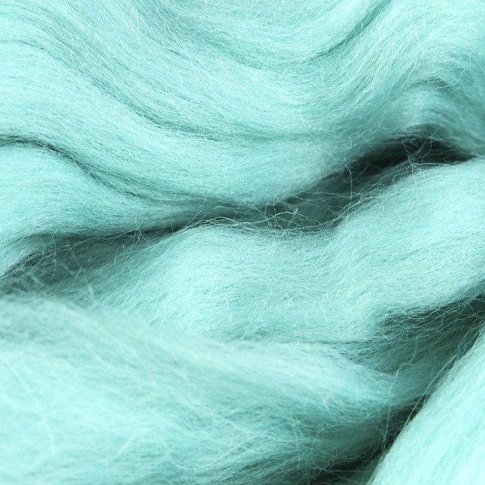 Шерсть для валяния 100% полутонкая шерсть 50 гр (023, бирюза св.)
Шерсть для валяния 100% полутонкая шерсть 50 гр (023, бирюза св.)