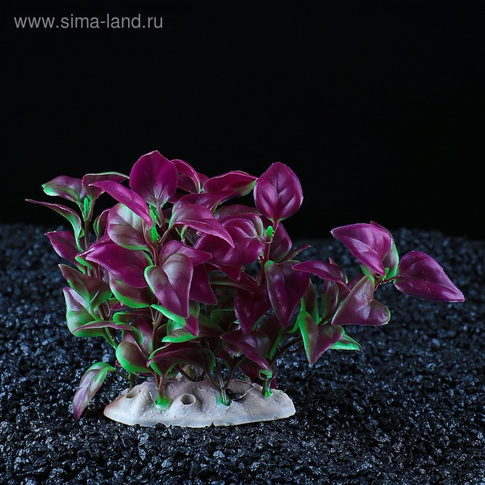 Растение искусственное аквариумное, 12 х 9 х 10 см 
Растение искусственное аквариумное, 12 х 9 х 10 см