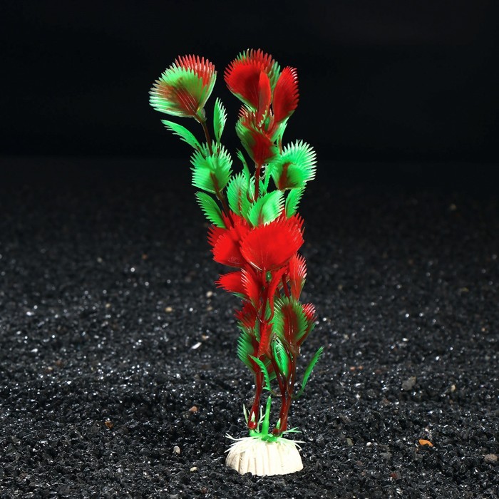 Растение искусственное аквариумное, до 20 см
Растение искусственное аквариумное, до 20 см