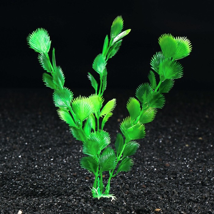 Растение искусственное аквариумное, до 20 см 
Растение искусственное аквариумное, до 20 см