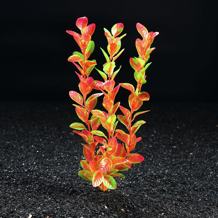 Растение искусственное аквариумное, до 28 см
Растение искусственное аквариумное, до 28 см