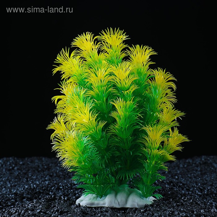Растение искусственное аквариумное, 15 х 12 х 18 см
Растение искусственное аквариумное, 15 х 12 х 18 см