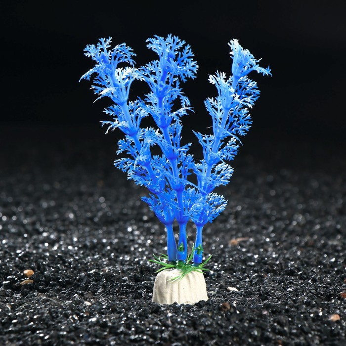 Растение искусственное аквариумное Лимнофила, 10 см, бело-синяя
Растение искусственное аквариумное Лимнофила, 10 см, бело-синяя