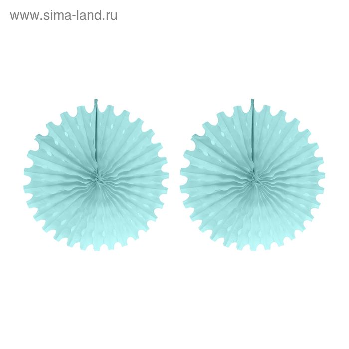 Подвески бумажные «Колёсико», набор 2 шт., цвет голубой, d=50 см
Подвески бумажные «Колёсико», набор 2 шт., цвет голубой, d=50 см