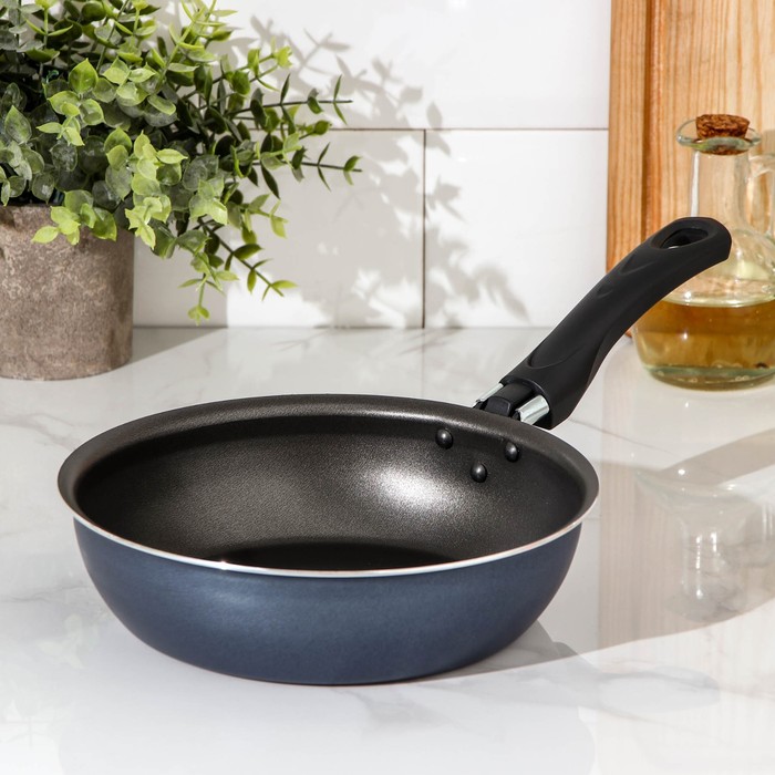 Сковорода, d=20 см, антипригарное покрытие, цвет синий
Сковорода, d=20 см, антипригарное покрытие, цвет синий