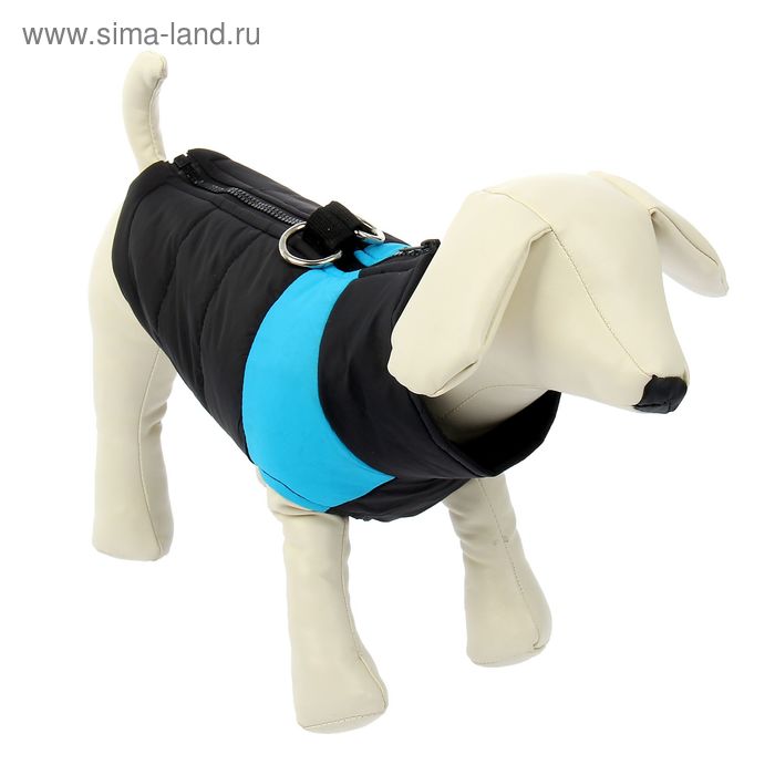 Куртка на синтепоне с креплениями для поводка, размер S (ОГ 39 см, ДС 26,5 см), черная с голубым
Куртка на синтепоне с креплениями для поводка, размер S (ОГ 39 см, ДС 26,5 см), черная с голубым