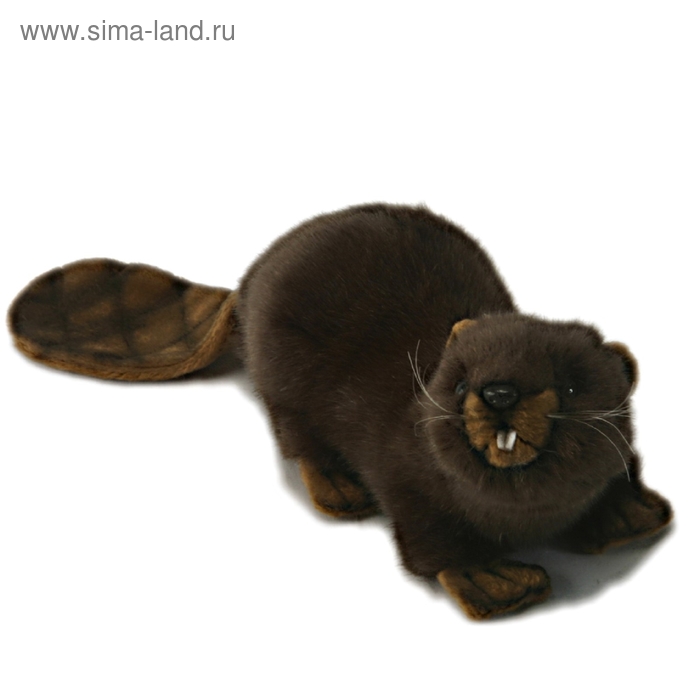 Мягкая игрушка «Бобёр», 20 см
Мягкая игрушка «Бобёр», 20 см