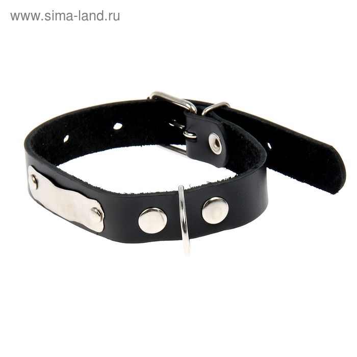 Ошейник кожаный однослойный с табличкой, 48,5 х 2,5 см, микс цветов и табличек
Ошейник кожаный однослойный с табличкой, 48,5 х 2,5 см, микс цветов и табличек