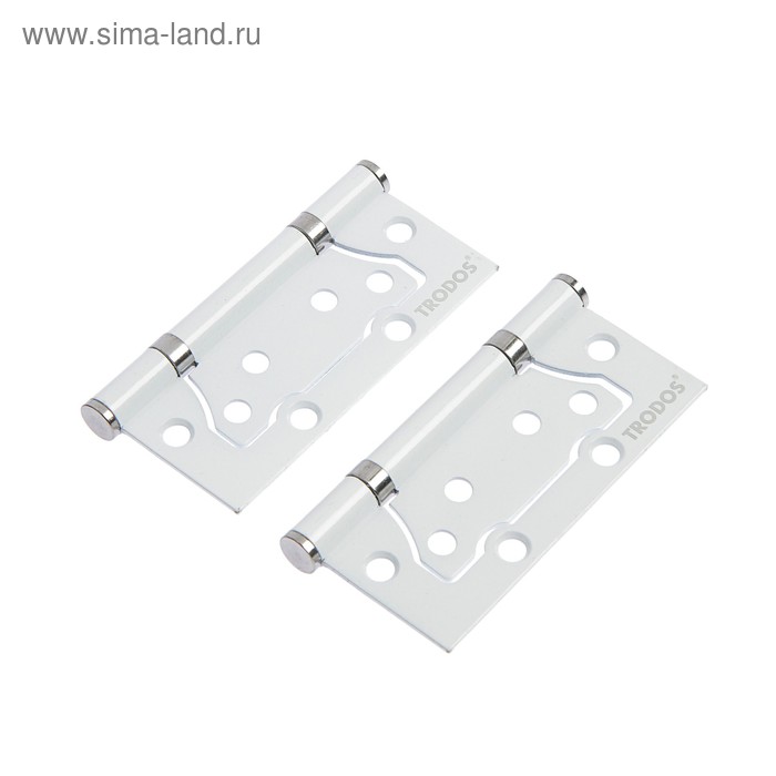 Петля дверная TRODOS, 100х75х2 мм, без врезки, белый
Петля дверная TRODOS, 100х75х2 мм, без врезки, белый