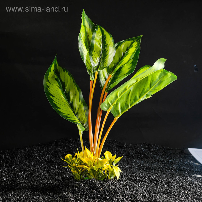 Растение искусственное аквариумное аквариумное большое, 26 х 10 х 31 см
Растение искусственное аквариумное аквариумное большое, 26 х 10 х 31 см