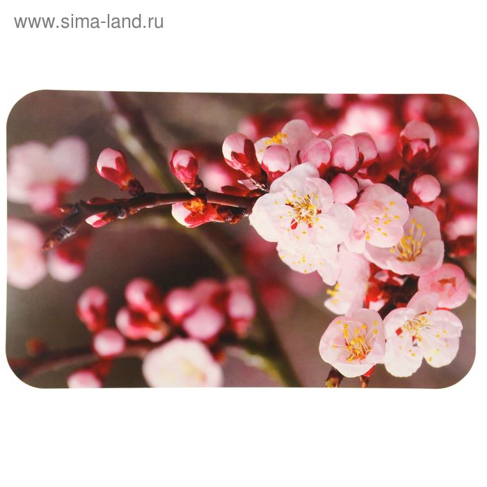 Салфетка сервировочная на стол «Сакура», 26×41 см
Салфетка сервировочная на стол «Сакура», 26×41 см