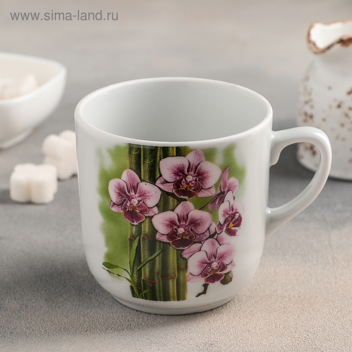 Кружка «Бамбуковая орхидея», 350 мл
Кружка «Бамбуковая орхидея», 350 мл