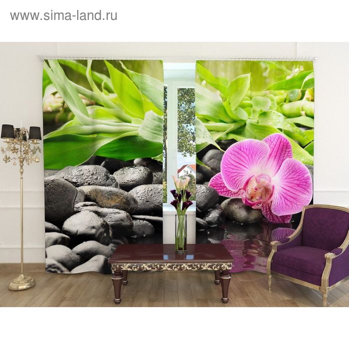 Фотошторы «Несравненная орхидея», ширина 150 см, высота 260 см-2 шт., шторная лента, габардин
Фотошторы «Несравненная орхидея», ширина 150 см, высота 260 см-2 шт., шторная лента, габардин