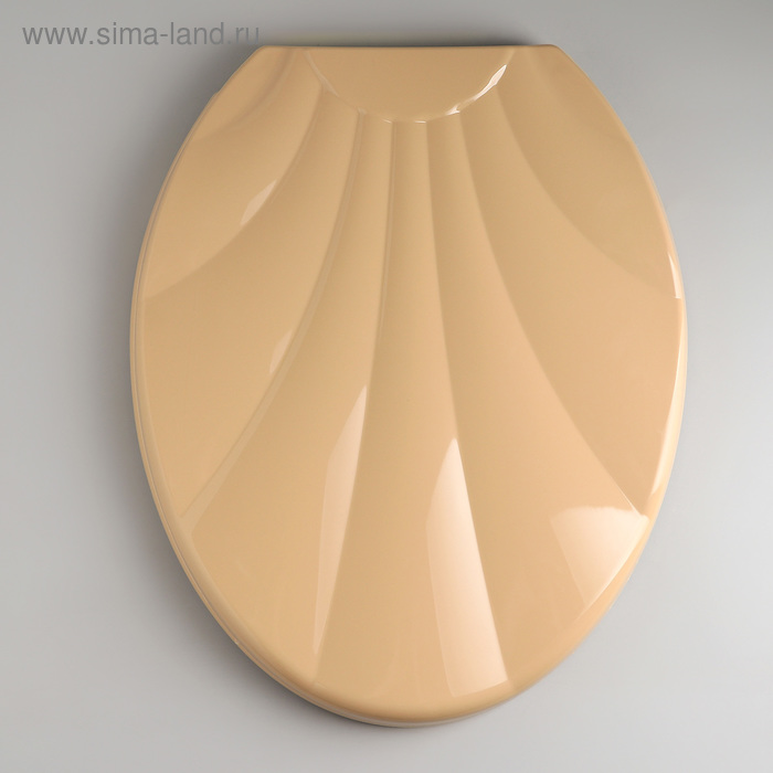 Сиденье для унитаза с крышкой «Ракушка», цвет бежевый
Сиденье для унитаза с крышкой «Ракушка», цвет бежевый