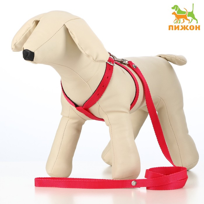 Комплект амуниции многоразмерный с карабином, ОШ 66 см, 128 х 1.5 см, микс цветов
Комплект амуниции многоразмерный с карабином, ОШ 66 см, 128 х 1.5 см, микс цветов