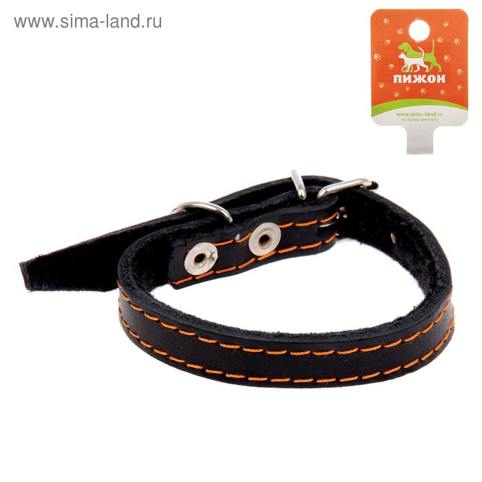 Ошейник кожаный на синтепоне, 36 х 1.5 см, ОШ 20-30 см, микс цветов 
Ошейник кожаный на синтепоне, 36 х 1.5 см, ОШ 20-30 см, микс цветов